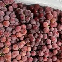 anggur merah madu 1kg