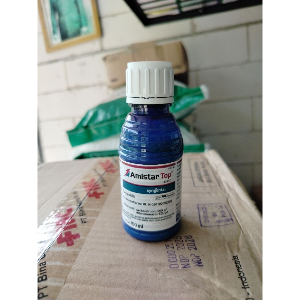 Amistartop 100ml fungisida