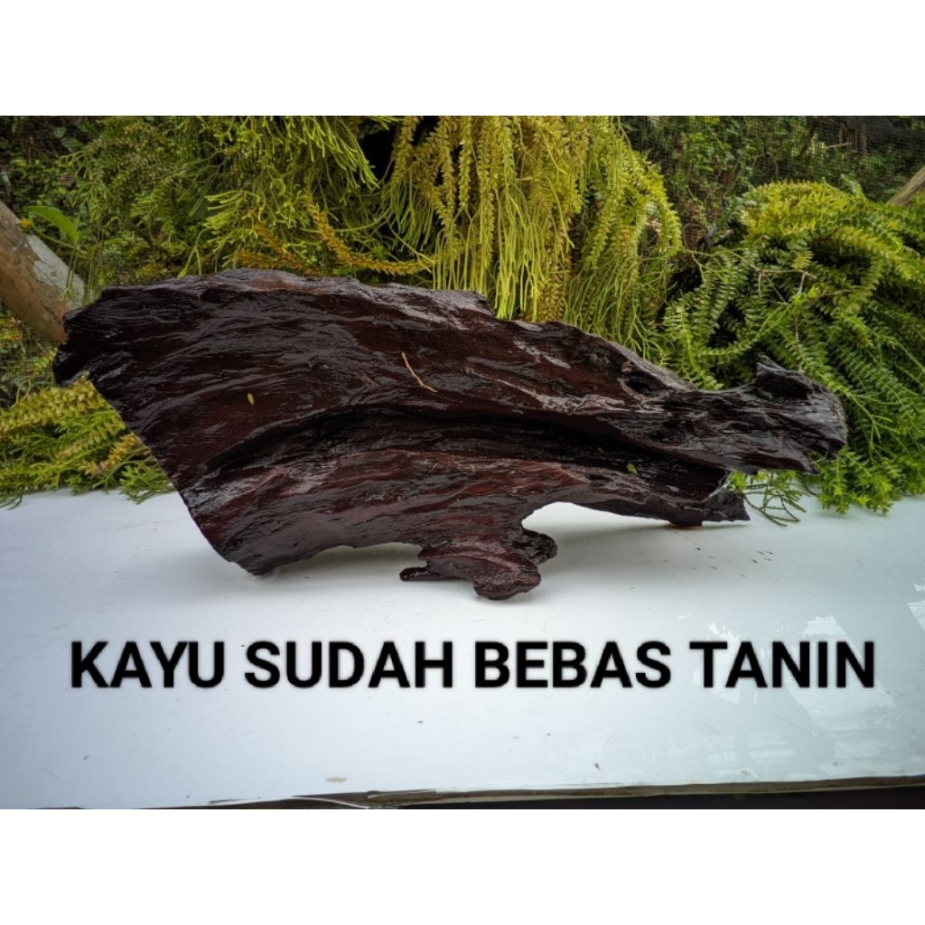 Kayu AQUASCAPE/Akuarium size L