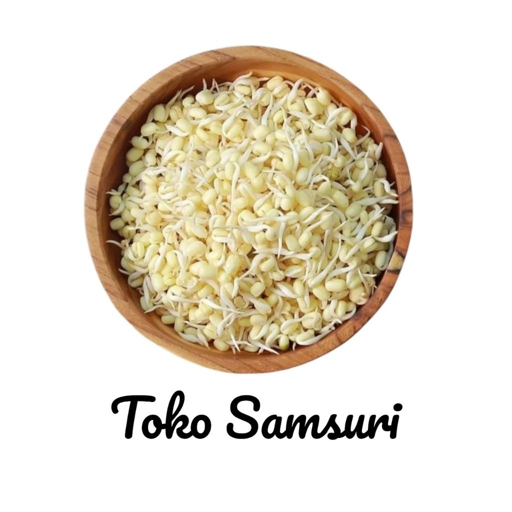 Kecambah • Tauge Pendek • Tauge Rawon