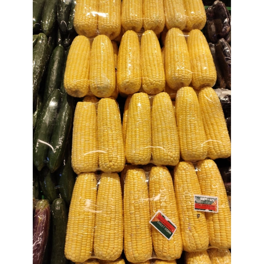 jagung manis sweet corn 1kg super sweet jagung manis daily fresh
