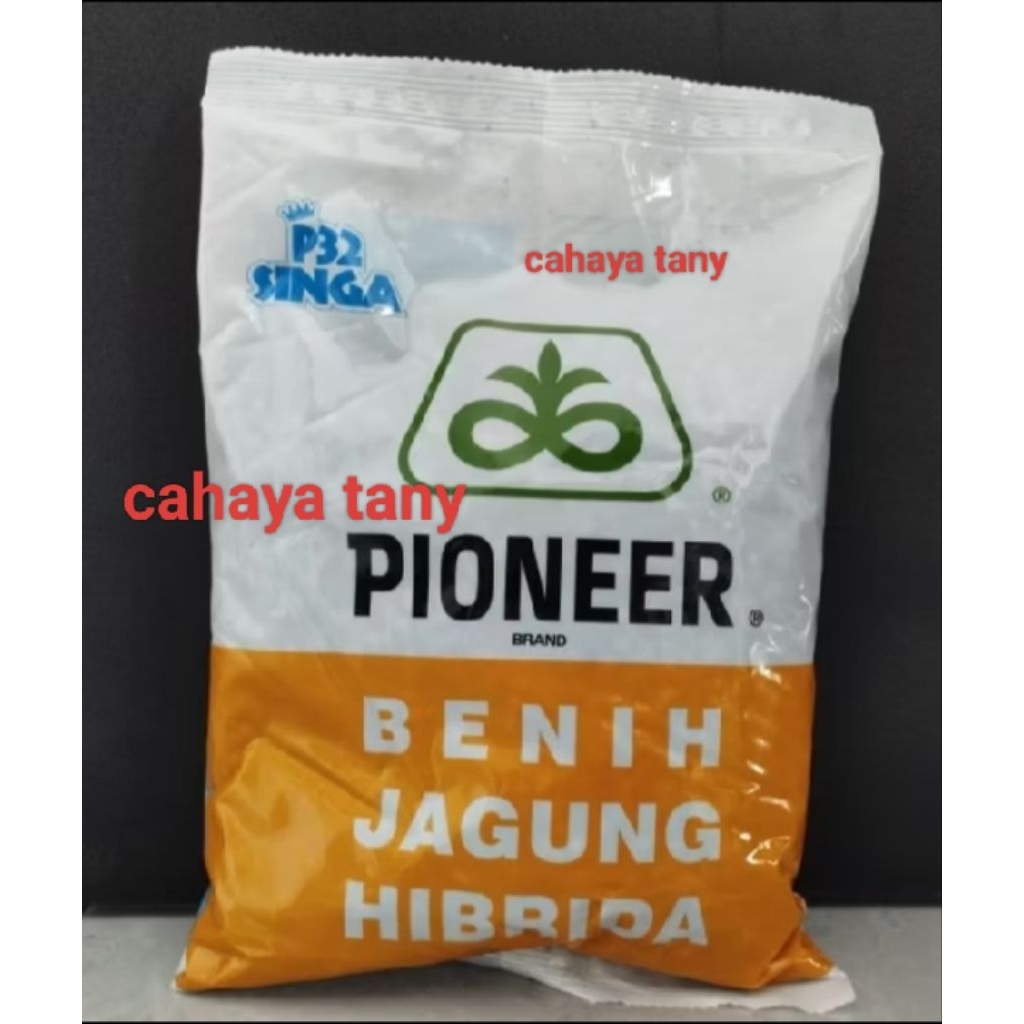 P32 singa 1kg benih jagung hibrida Pioneer p32 singa 1kg