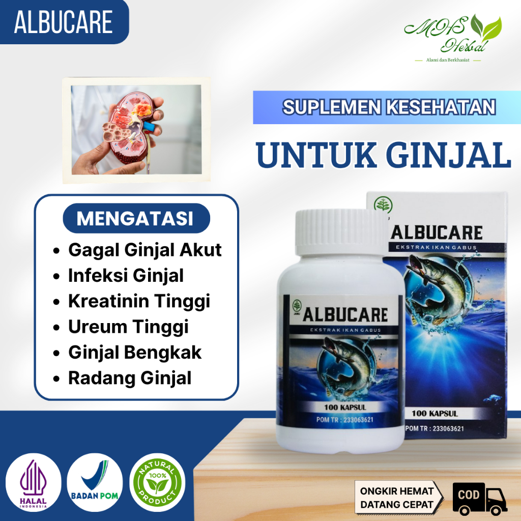 Obat Gagal Ginjal Akut, Infeksi Ginjal, Kreatinin Dan Ureum Tinggi, Ginjal Bengkak, Radang Ginjal - 