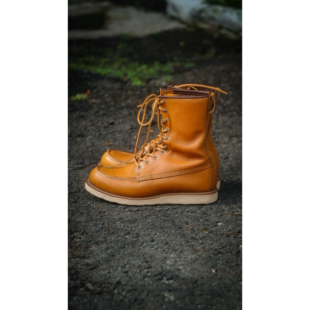 Red Wing 9877 Irish Setter