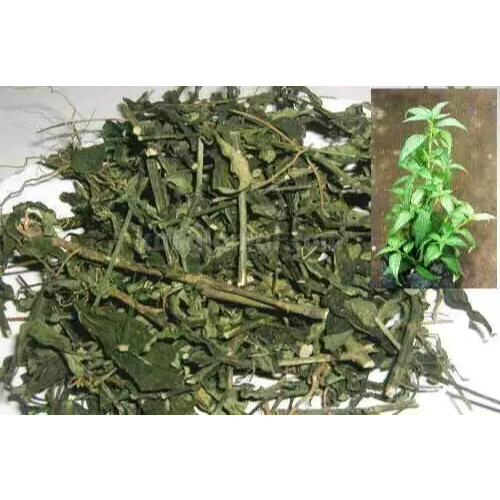 Sambiloto kering 1kg sambiloto cacah kering