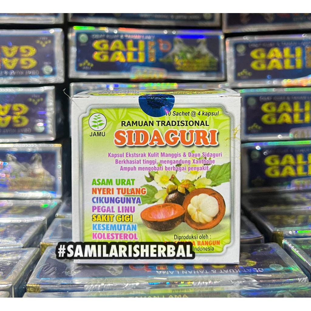 SIDAGURI KAPSUL ORIGINAL