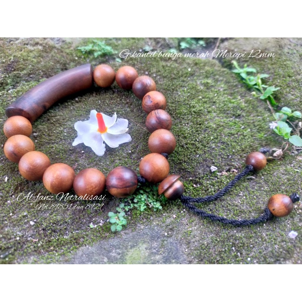 gelang galih kantil bunga merah merapi mati Ngurak bit 12mm asli bersertifikat