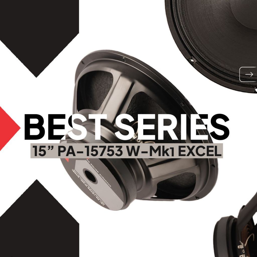 Speaker ACR 15" PA-15753 W-Mk1 Excellent