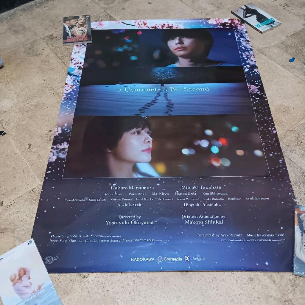 poster film 5 centimeters per second