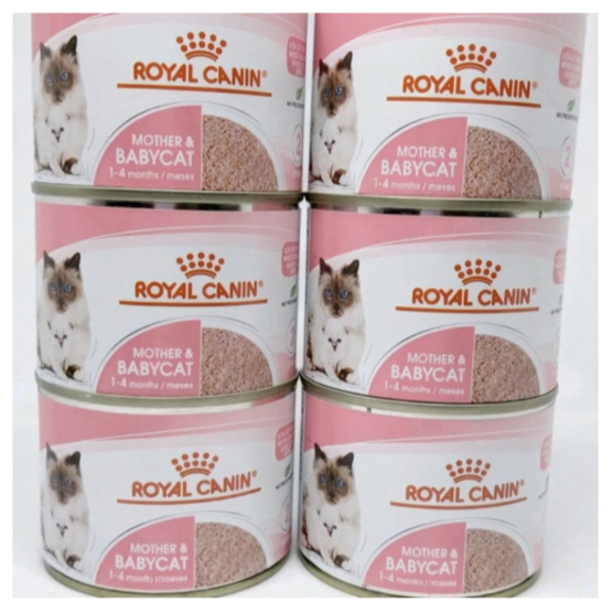 Royal Canin Mother & Baby Cat Kaleng Royal Canin Baby Cat 195 gr