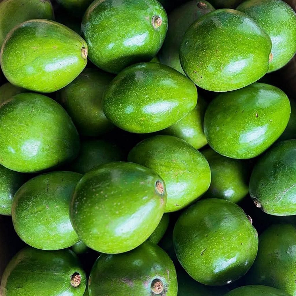 Alpukat Miki 1 kg