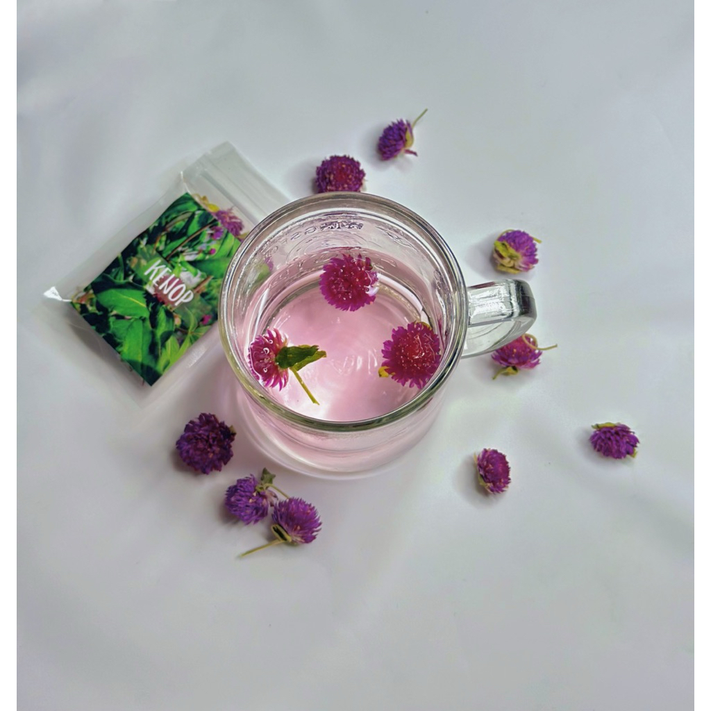 teh bunga kenop / globe amaranth