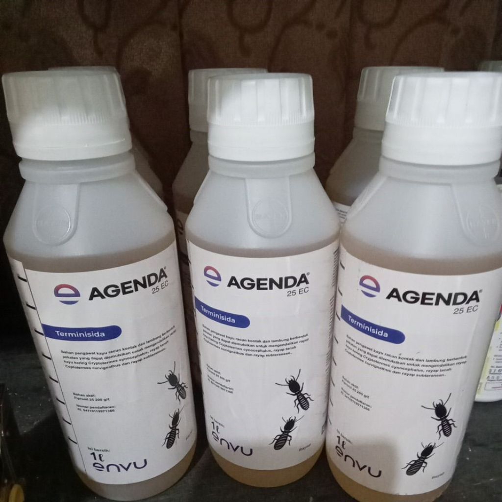 Agenda 25ec basmi rayap