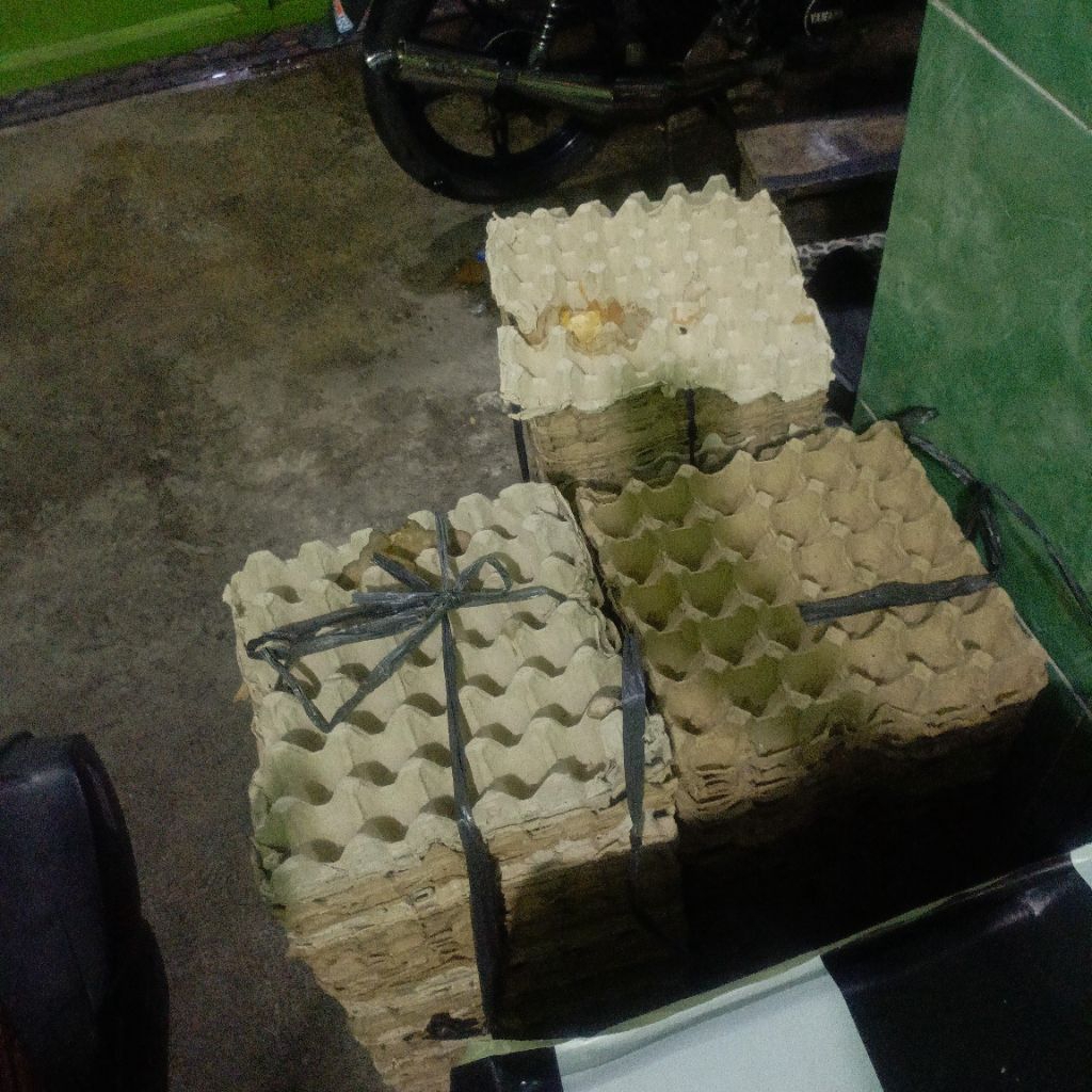 TRAY TELUR 1 LEMBAR