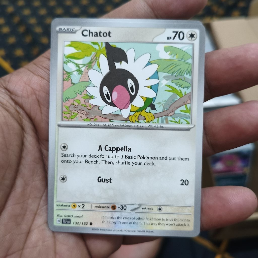 chatot tcg pokemon / kartu pokemon