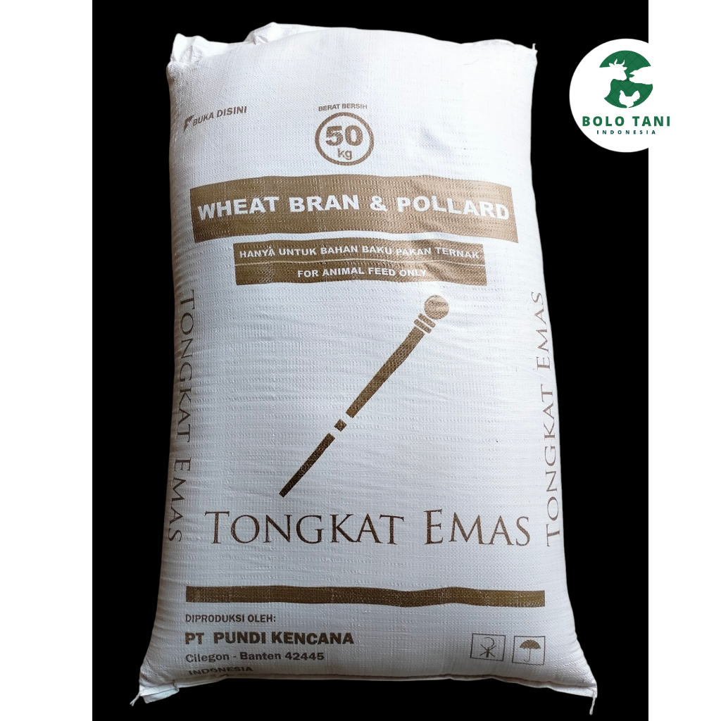 ASLI BRAN POLLARD 50 KG - POLAR TONGKAT EMAS - PAKAN SAPI KAMBING