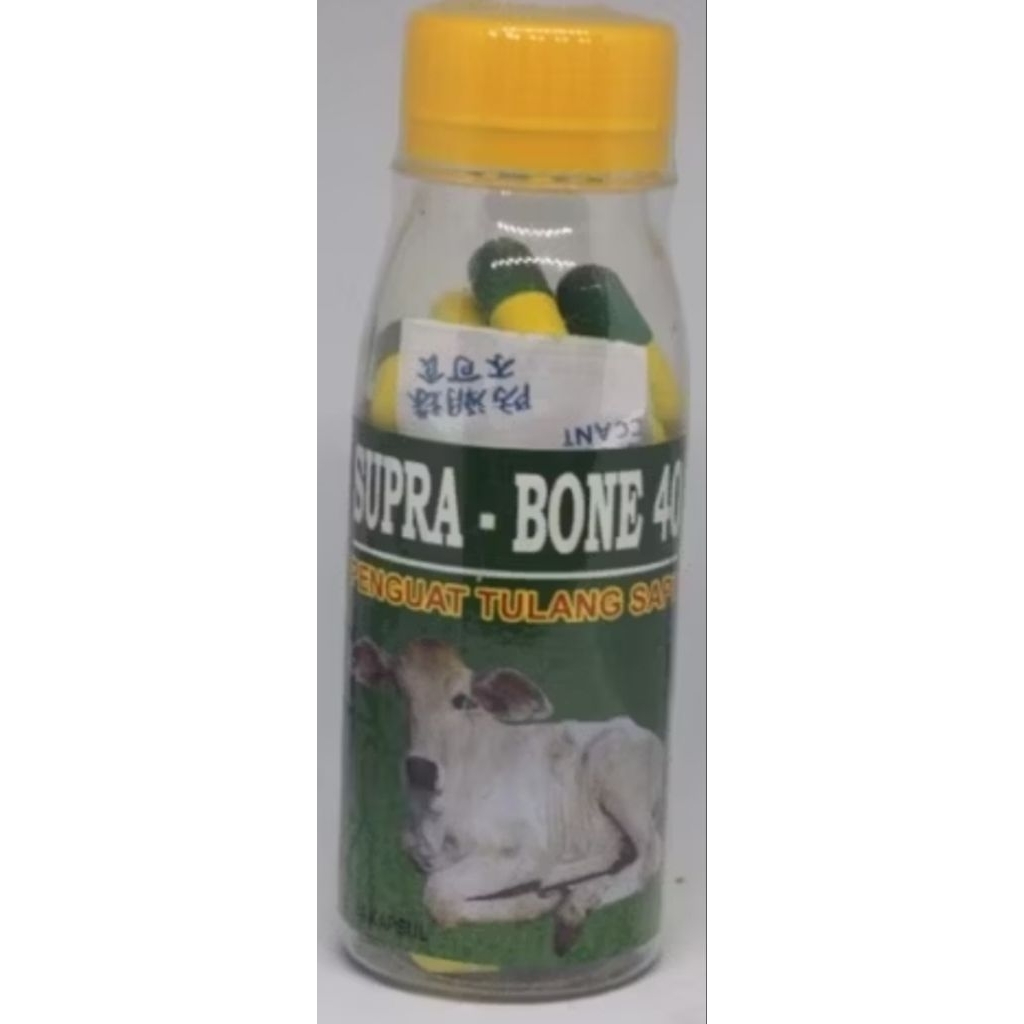 SUPRA BONE OBAT HEWAN LUMPUH PINCANG