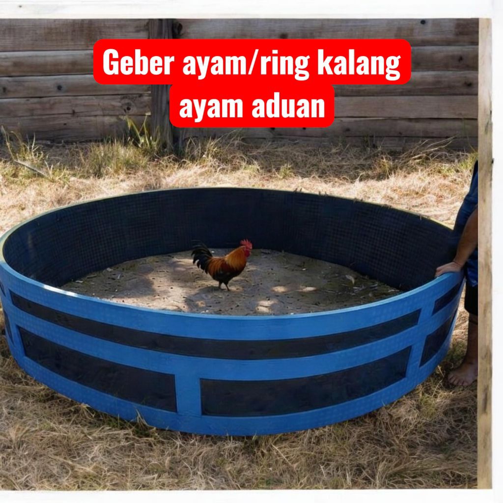 Geber ayam/ring aduan ayam Berkualitas tebal 20mm