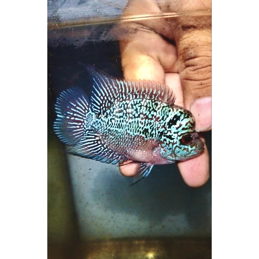 KAMFA F3 GEN GB, BEST QUALITY