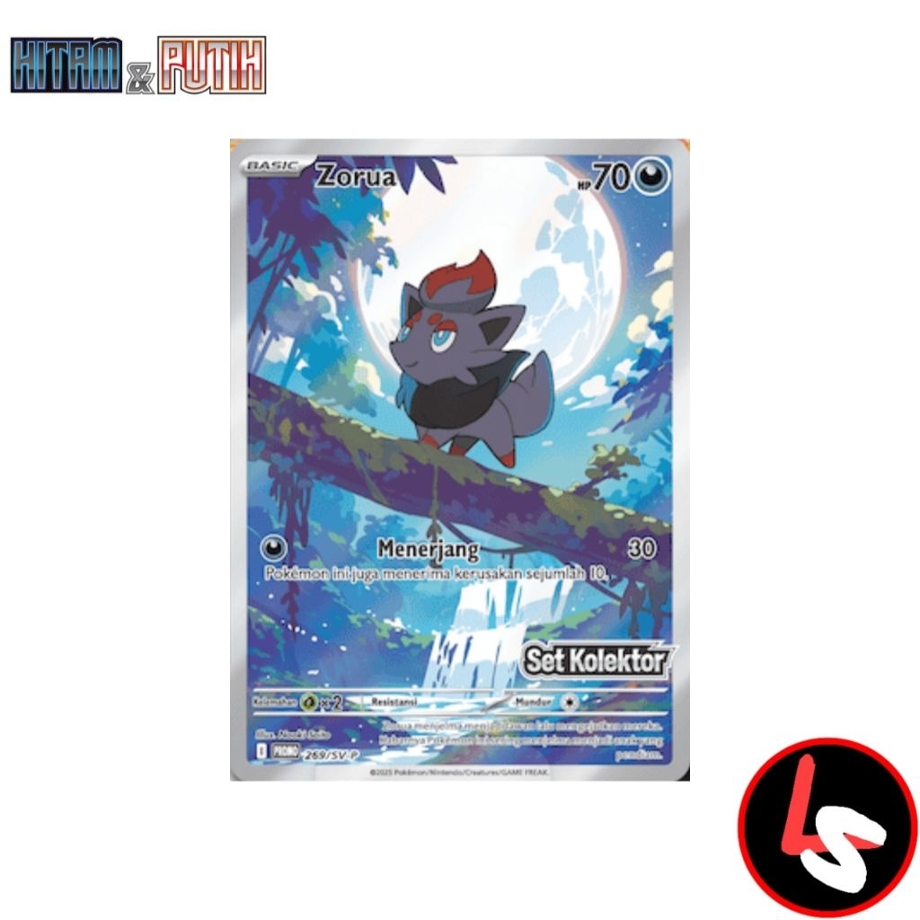 ZORUA AR PROMO SET KOLEKTOR HITAM&PUTIH SV11S | POKEMON TCG INDONESIA