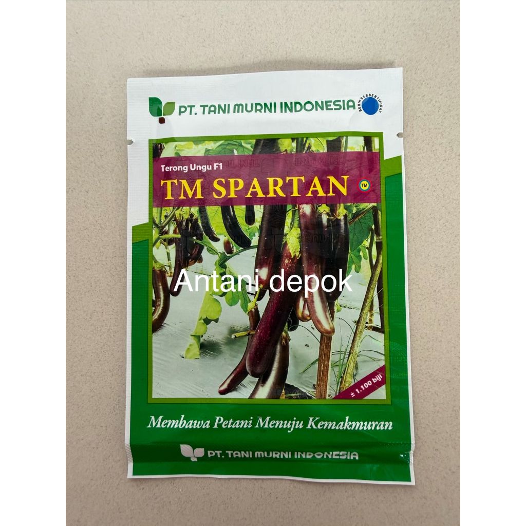 Benih Terong Ungu TM SPARTAN F1 1.100 BIJI