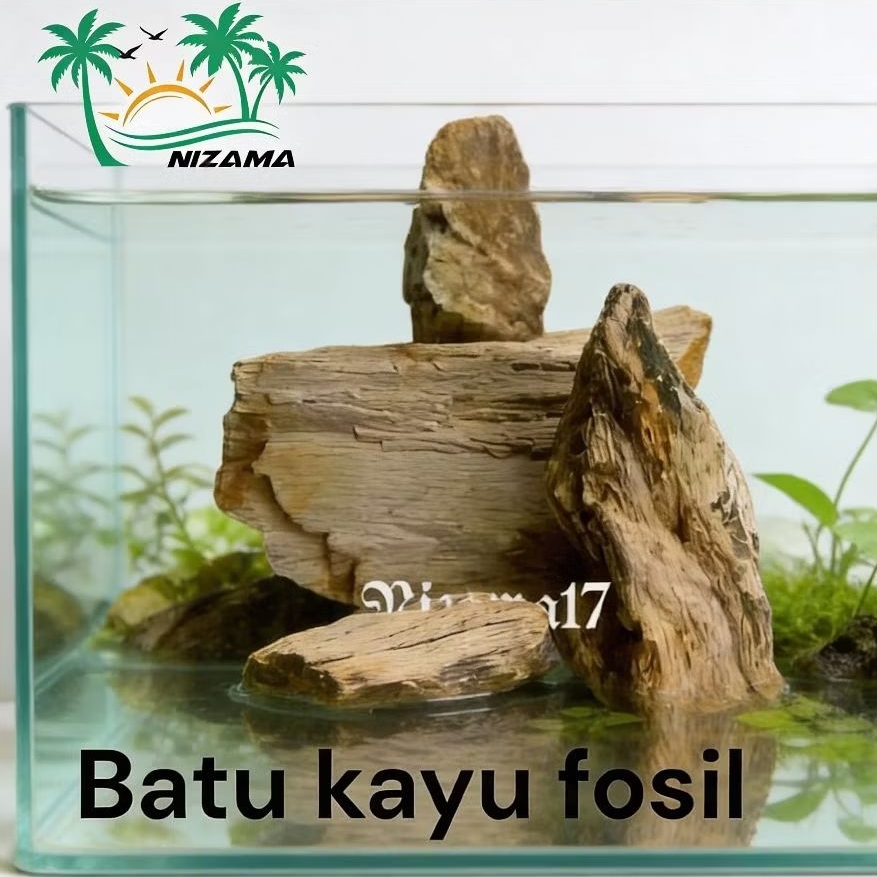 Batu kayu fosil super sudah di sortir/Batu kayu fosil aquascape/Batu aquascape