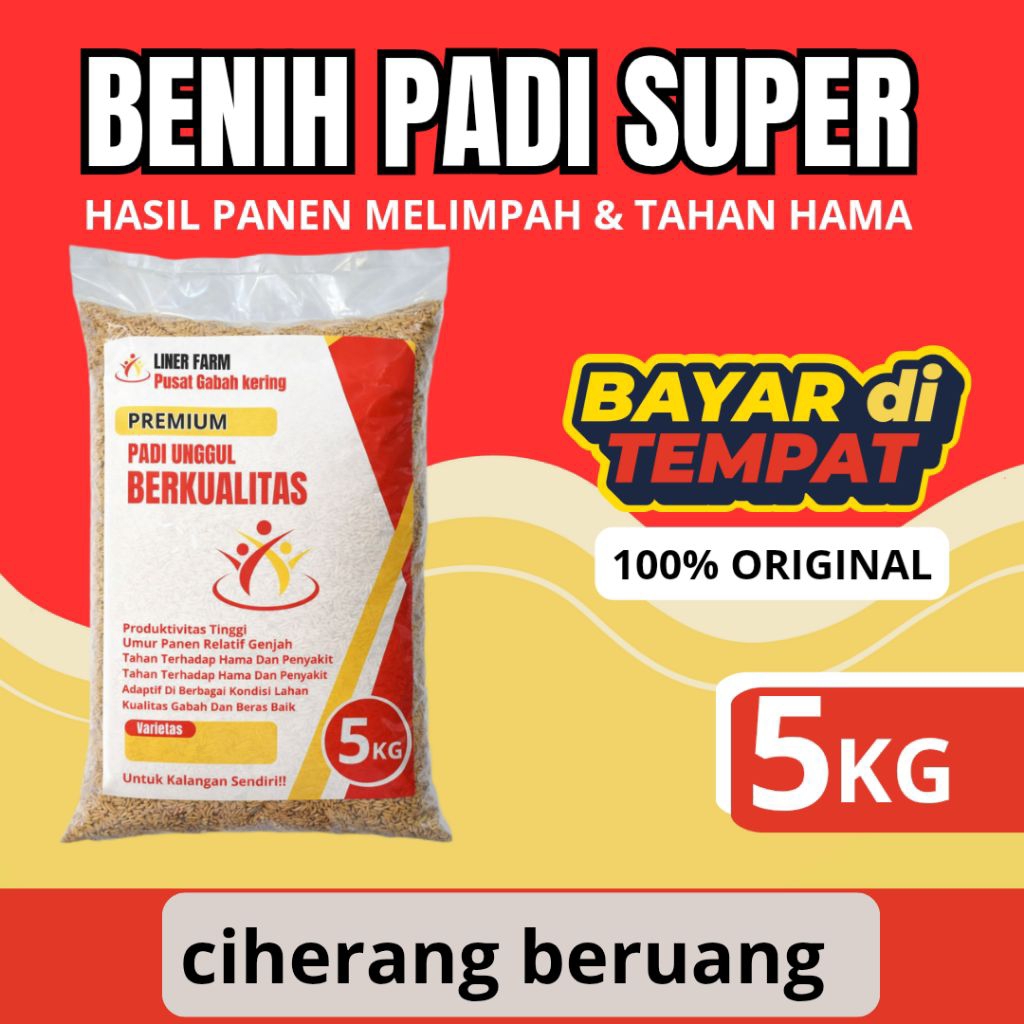 bibit padi ciherang beruang isi 5kg