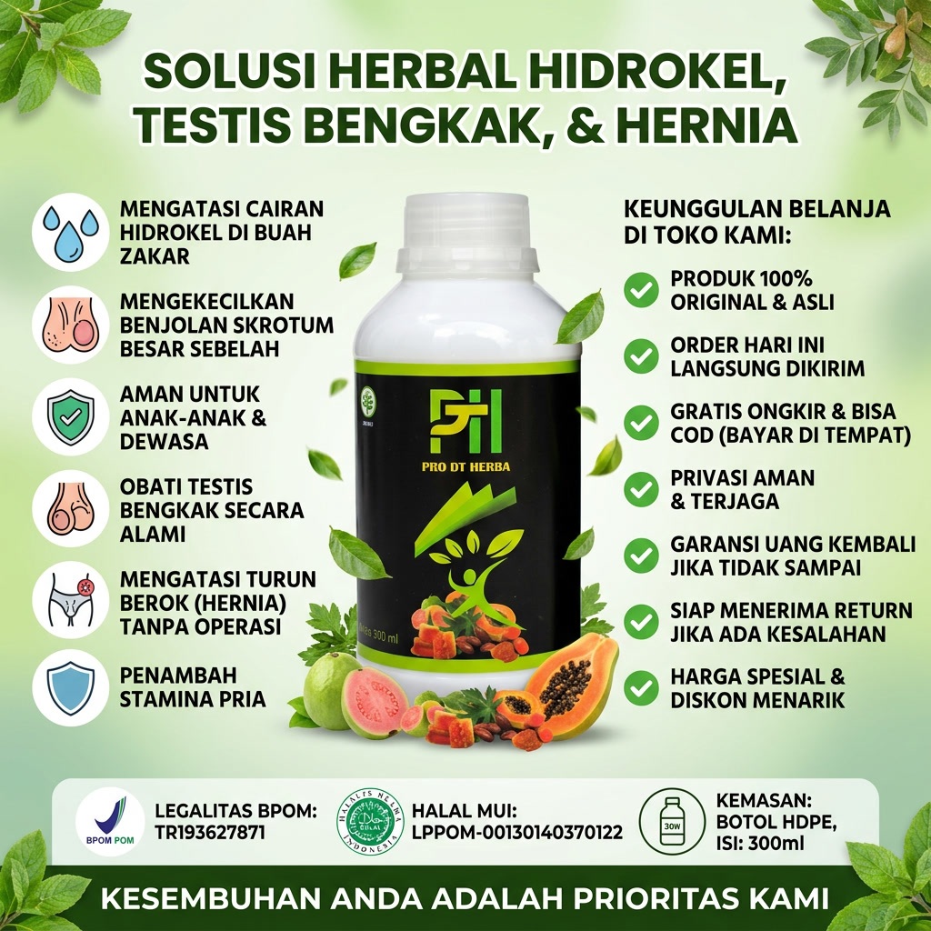 Obat Herbal Hidrokel Cairan di Buah Zakar Besar Sebelah Anak & Dewasa Ampuh Aman Pro DT Herba Paling