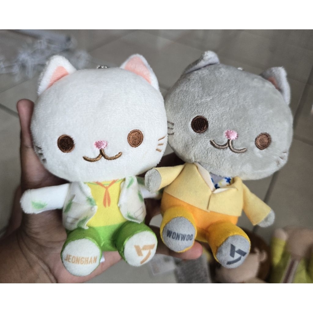 Official Seventeen Wonwoo Jeonghan Cat doll keychain