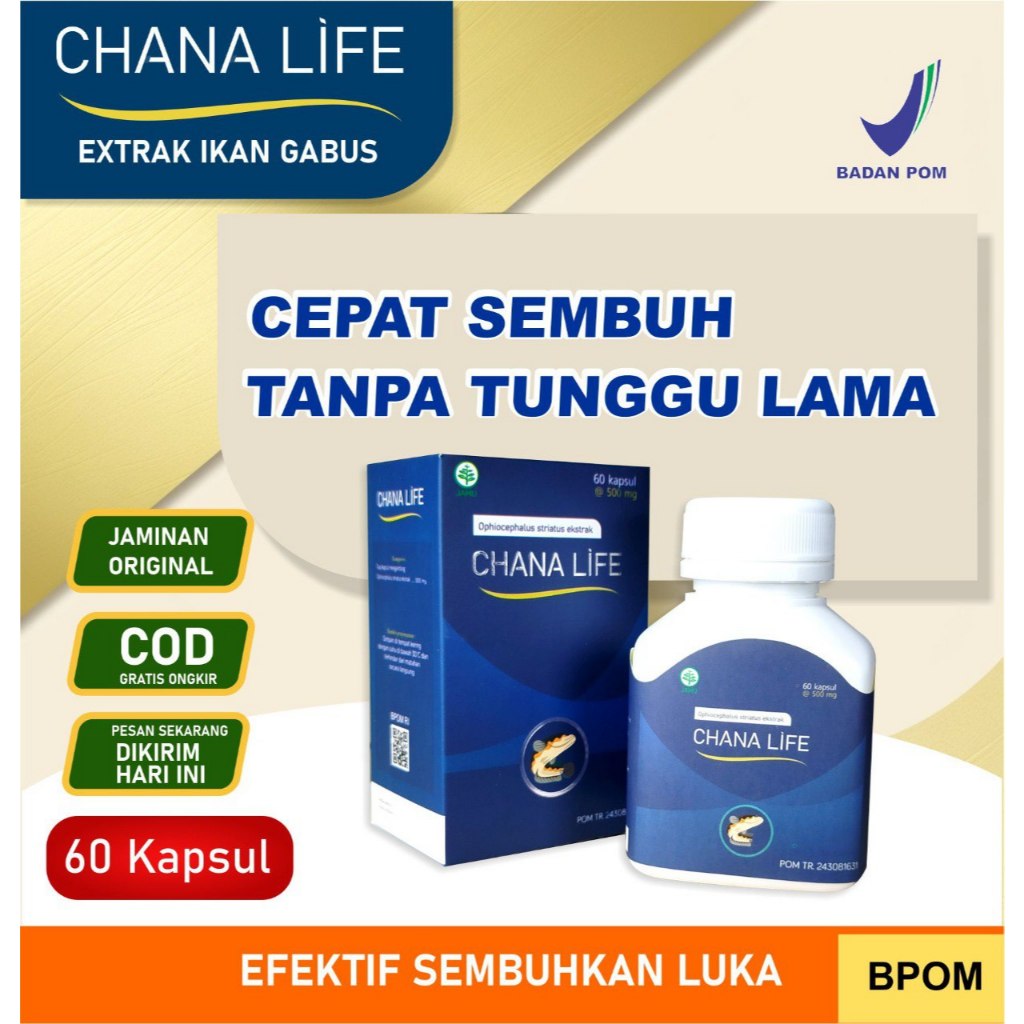 kapsul ikan Gabus CHANA LIFE mempercepat luka operasi