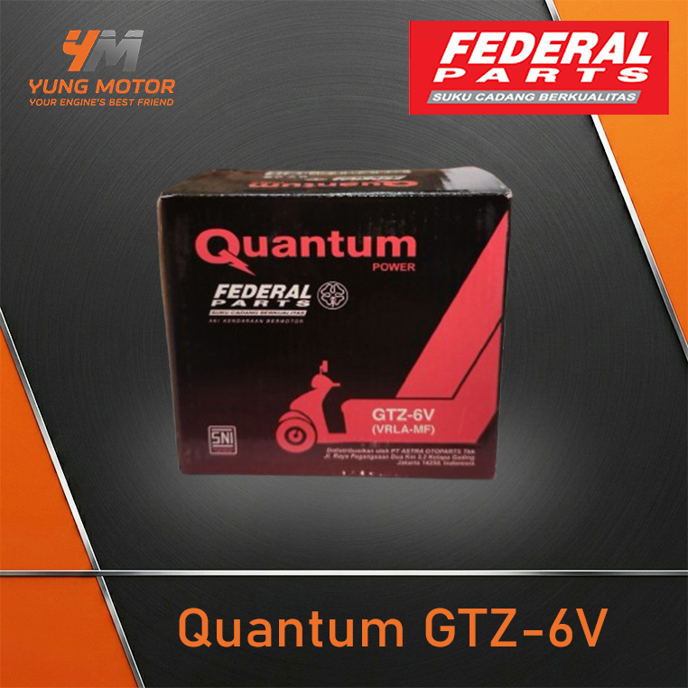 Aki Federal Quantum GTZ-6V-A