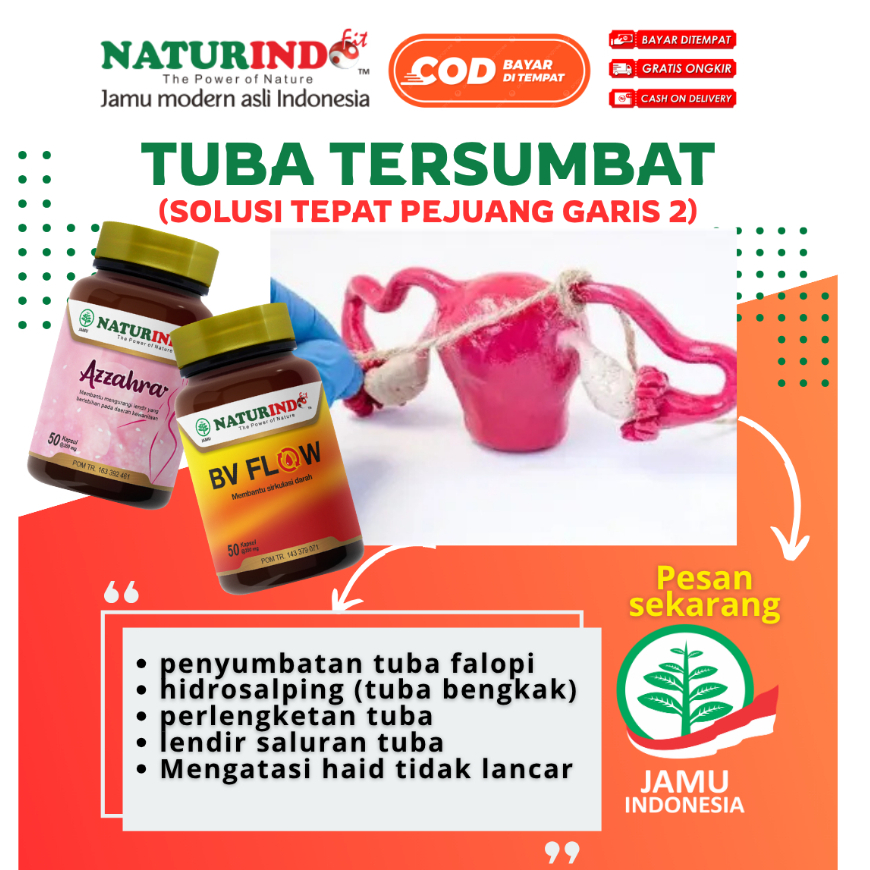 Obat Tuba Falopi Tersumbat Hidrosalping Penyumbatan Saluran Tuba Fallopi Non-Paten Herbal