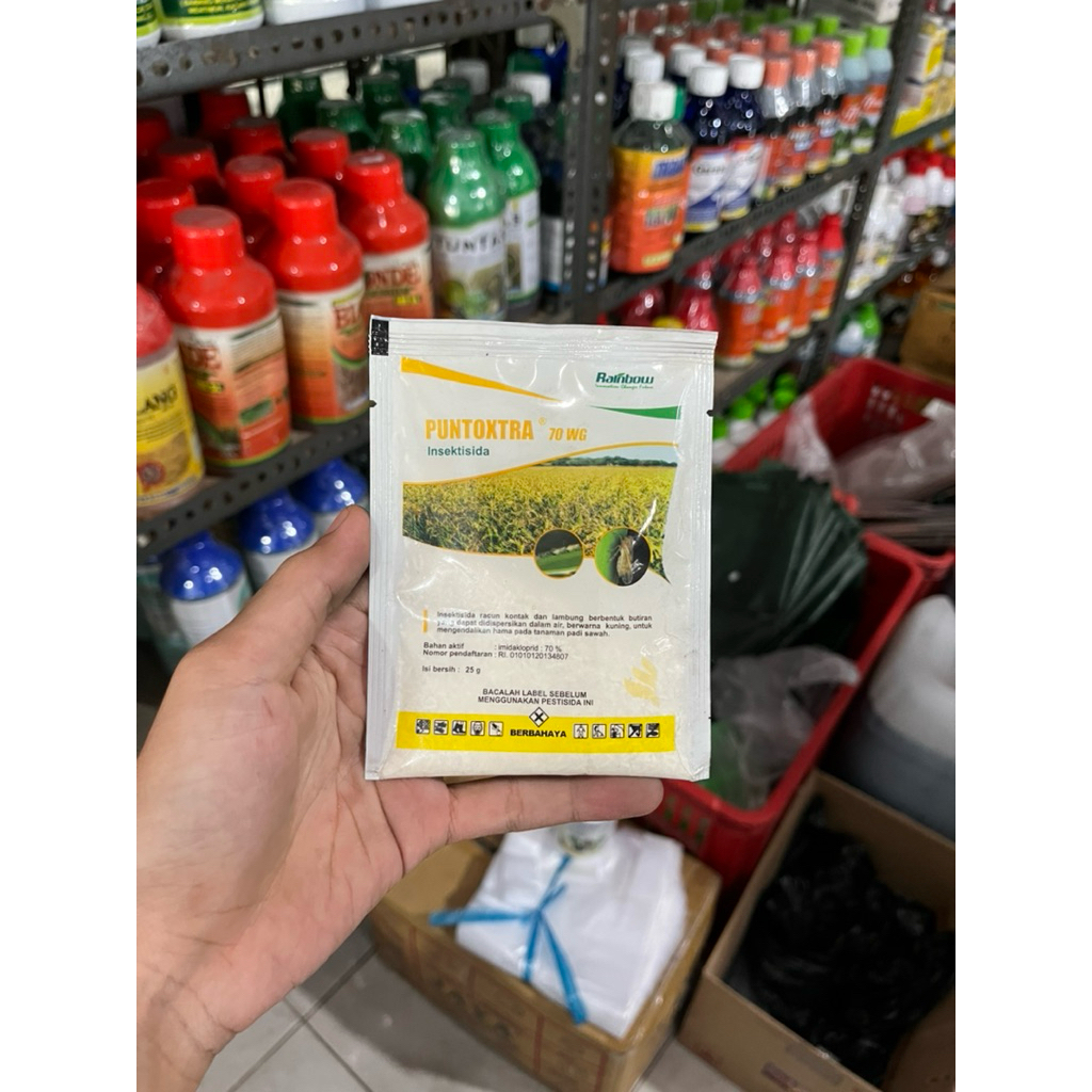 Insektisida PUNTOXTRA 70wg Imidakloprid 70%