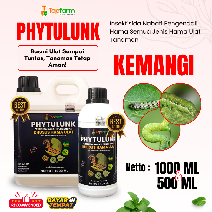 Obat Ulat Daun Kemangi /  Pestisida Hama Ulat Daun Kemangi / Obat Ulat Topfarm / Inseksitida Hama Da