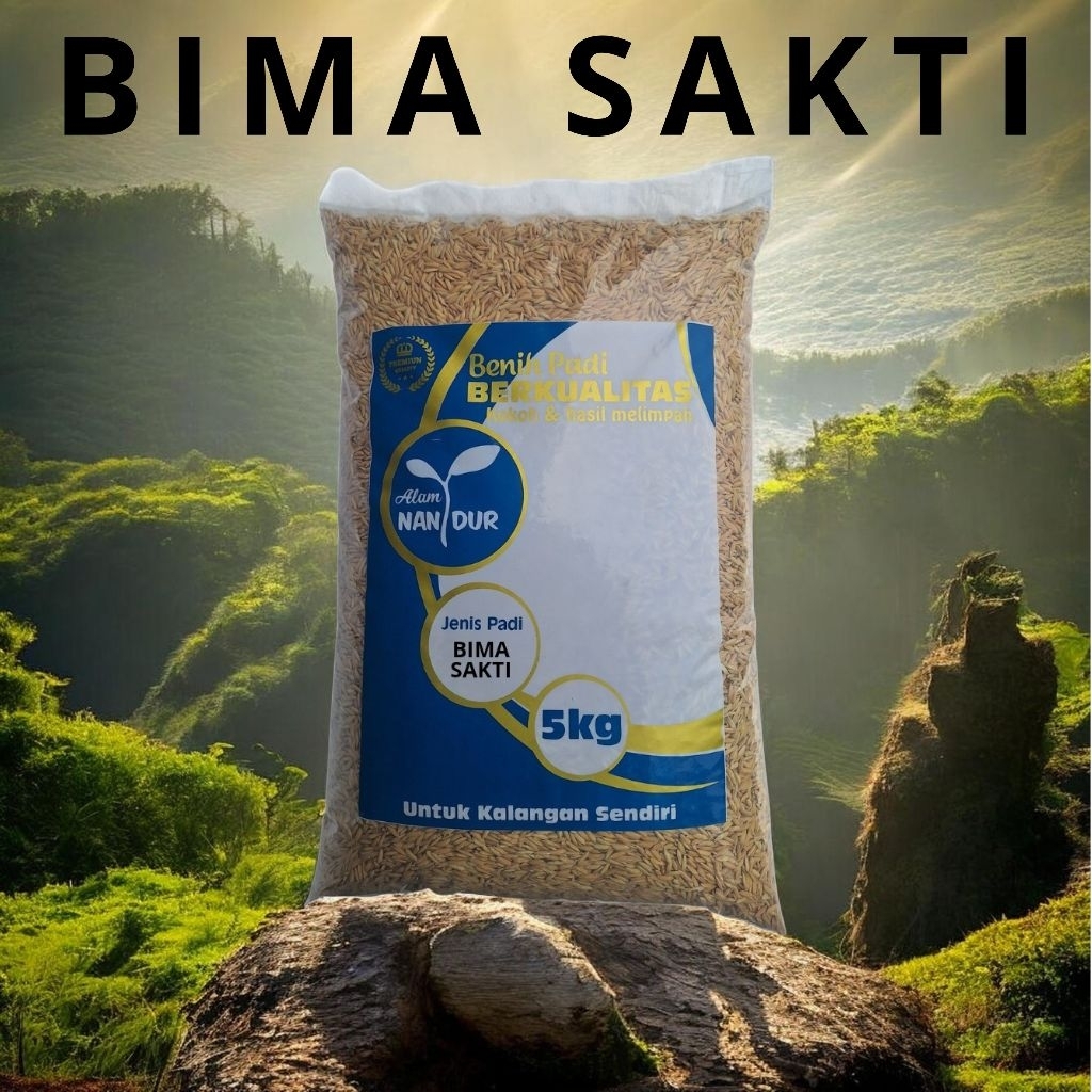 BIBIT | BENIH PADI BIMA SAKTI KEMASAN 5KG