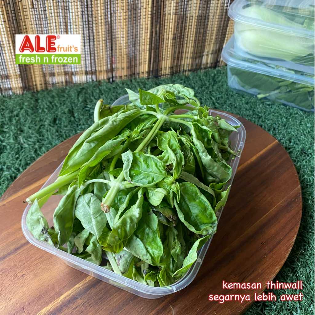 Daun basil fresh, daun basil, daun basil segar