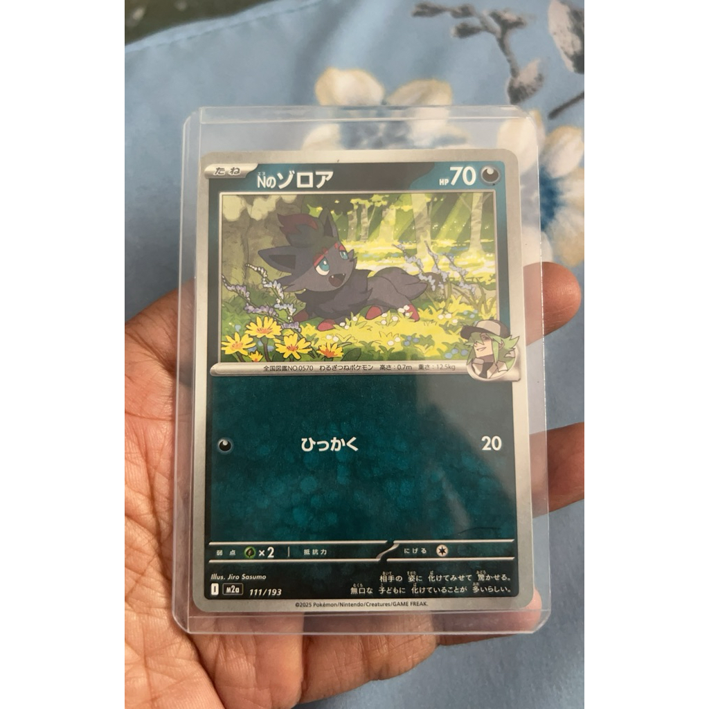 N’s Zorua Pokemon Japan