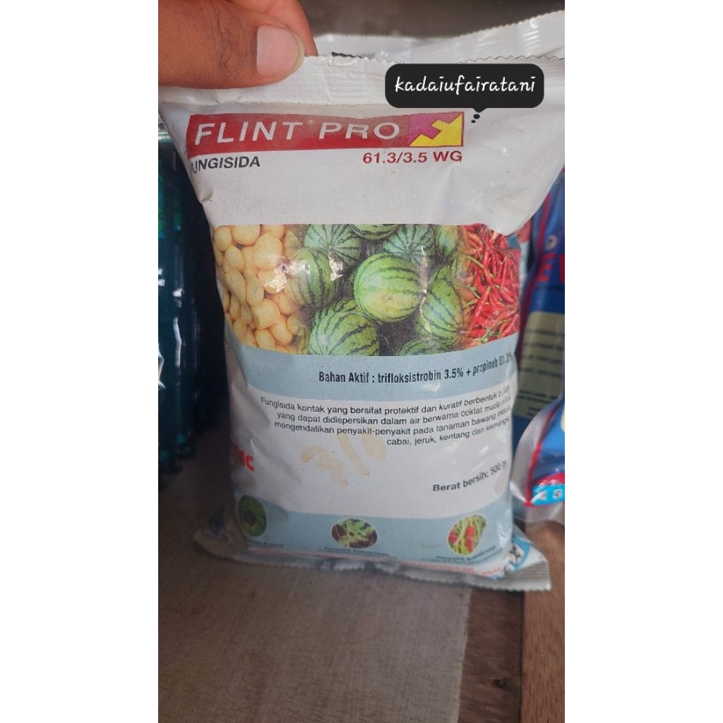 FLINT PRO 61.3/3.5 WG 500gr