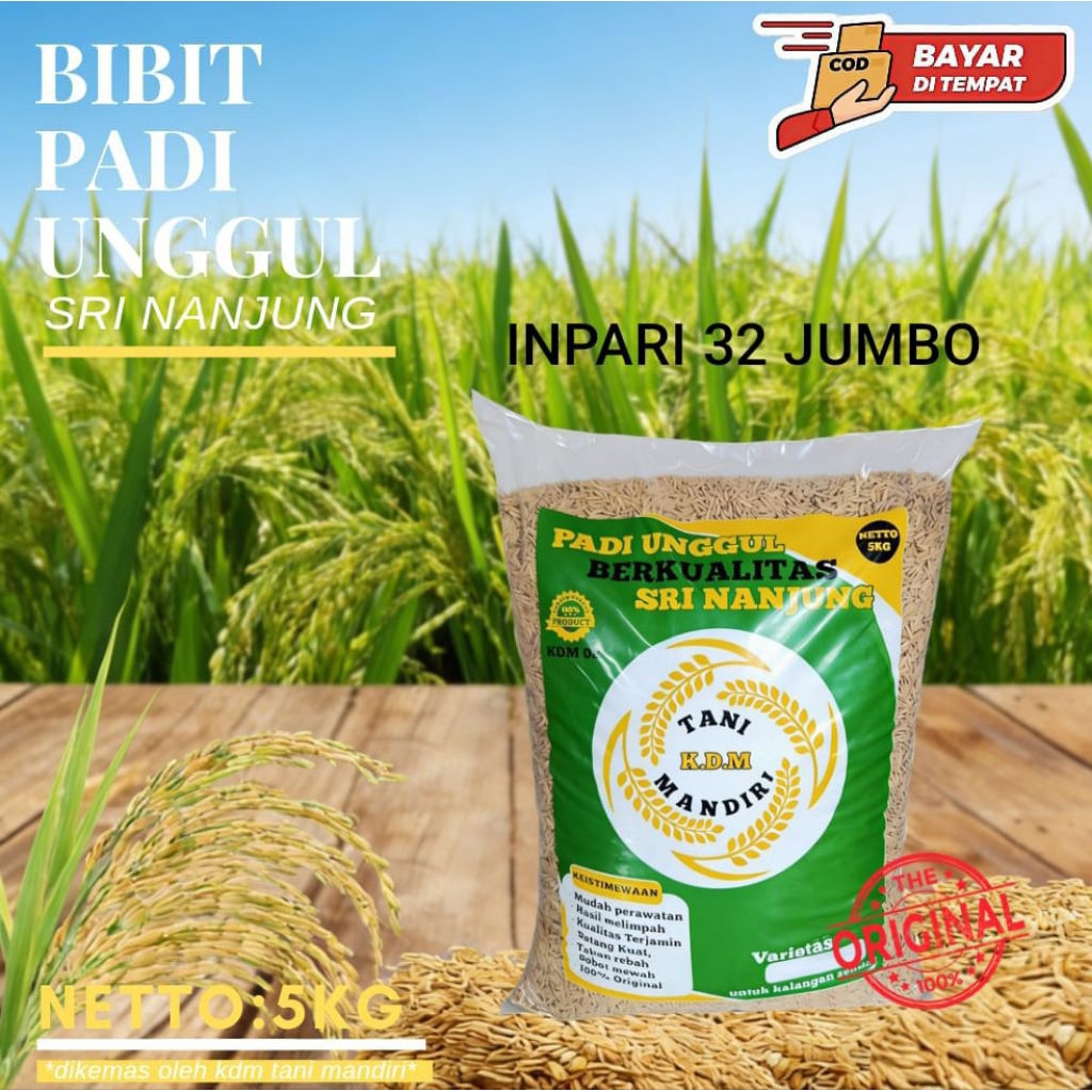 BENIH PADI BIBIT PADI INPARI 32 JUMBO KEMASAN 5KG