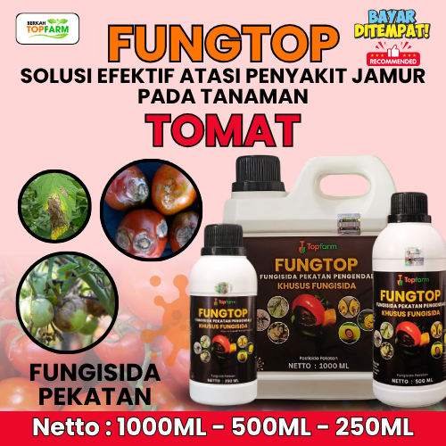 Obat Jamur Tanaman Tomat / Obat Jamur Daun Tomat / Obat Busuk Buah Tomat / Pestisida Pengendali Hama