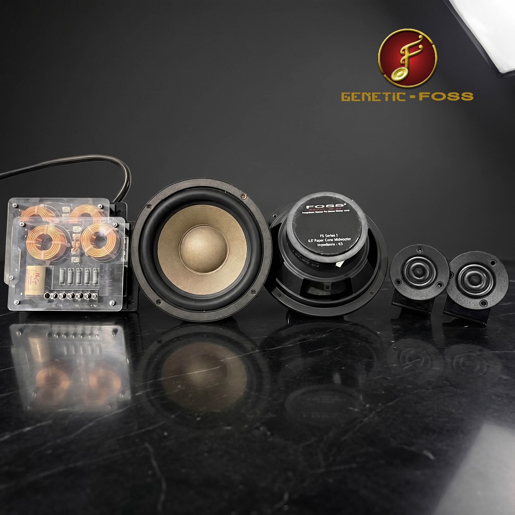 Speaker Split 2-Way Foss FS1 6.5 Inch Original - New Old Stock (NOS) Build Quality Grade