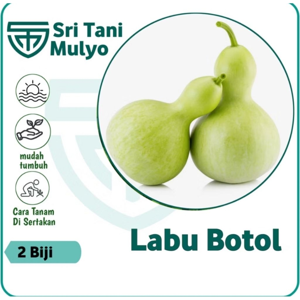 2 Benih Labu Botol / Labu Kendi Squash -Bibit Labu Air - Bibit Buah