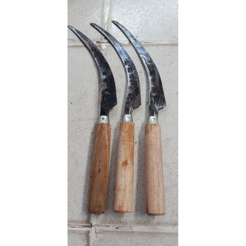 Arit Tani Mata Gergaji Tajam Panjang