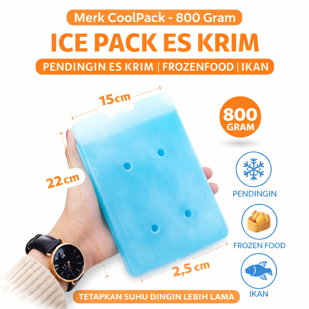 Icepack Kulkas EsPack Pendingin Eskrim Pendingin Keliling 22x15x2.5