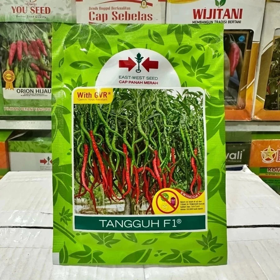 TANGGUH F1 Cap Panah Merah Benih Cabai Keriting Unggul Tahan Virus