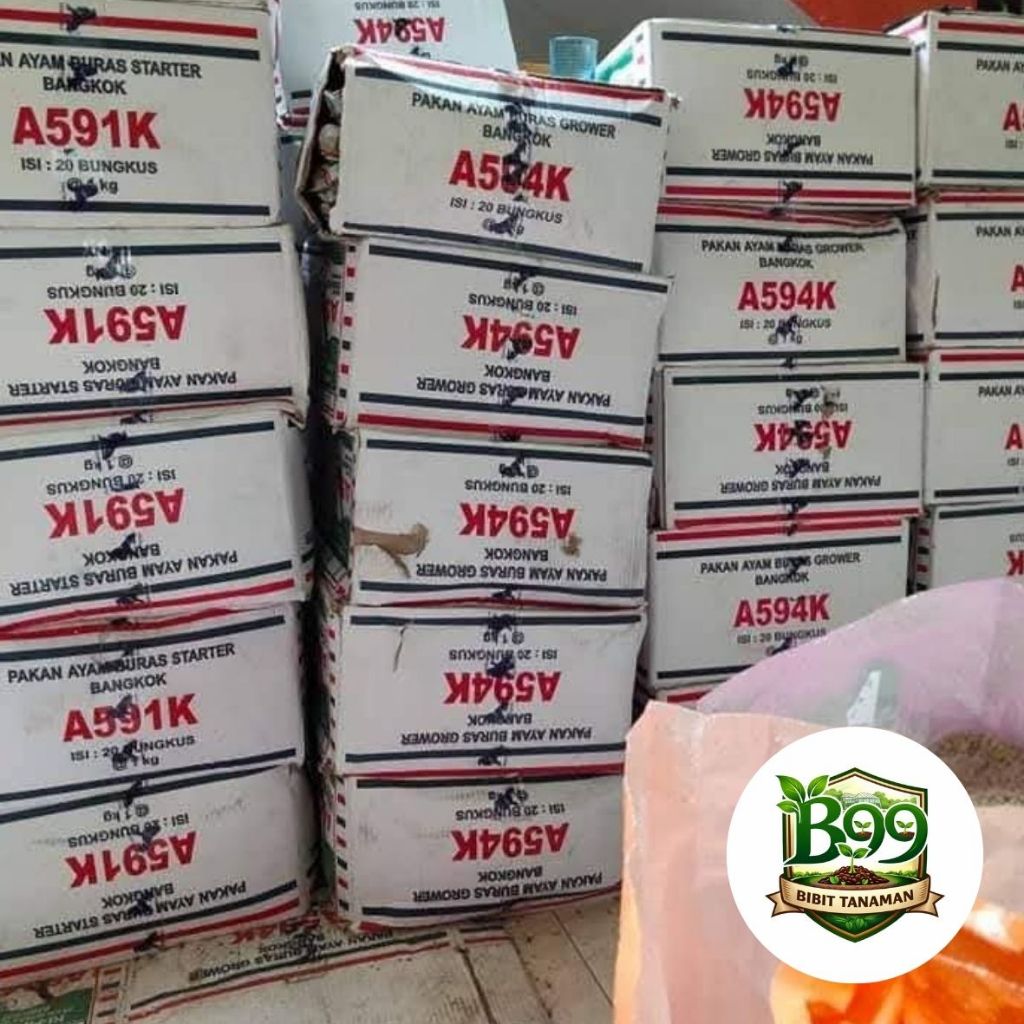PUR AYAM 511, 591, 592, & 594 LENGKAP UNTUK PERTUMBUHAN OPTIMAL