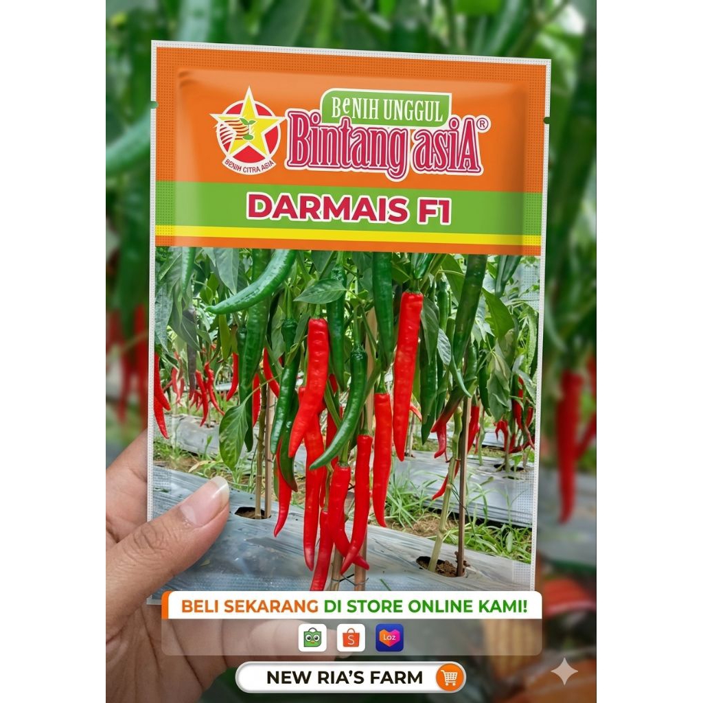 DARMAIS F1 10GR CABAI SAYUR CABAI BESAR