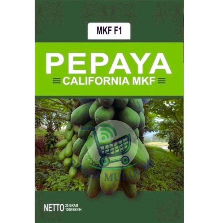 Benih Pepaya CALIFORNIA MKF.F1 20 GRAM PAKET 1PACK(10PCS)