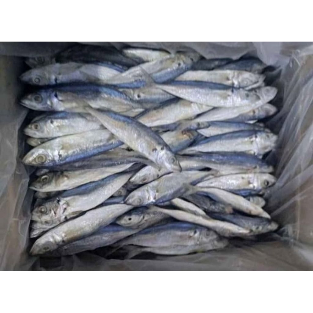 ikan asin peda kecil tanpa kepala