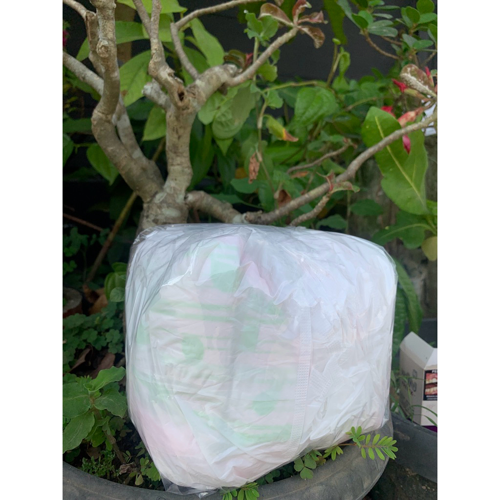 Pembalut Celana isi 5 Pcs & 10 Pcs / Softex Celana Menstruasi Repack